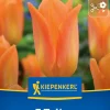 Kiepenkerl Herbstblumenzwiebel Fosteriana-Tulpe Orange Emperor 7 Pflanze