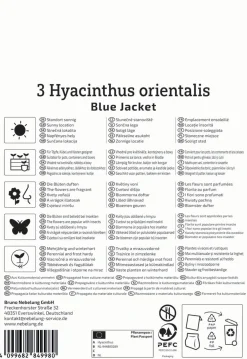 Kiepenkerl Herbstblumenzwiebel Hyazinthe Blue Jacket 3 Stück
