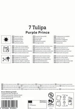 Kiepenkerl Herbstblumenzwiebel Einfache Frühe Tulpe Purple Prince 7 Pflanzen