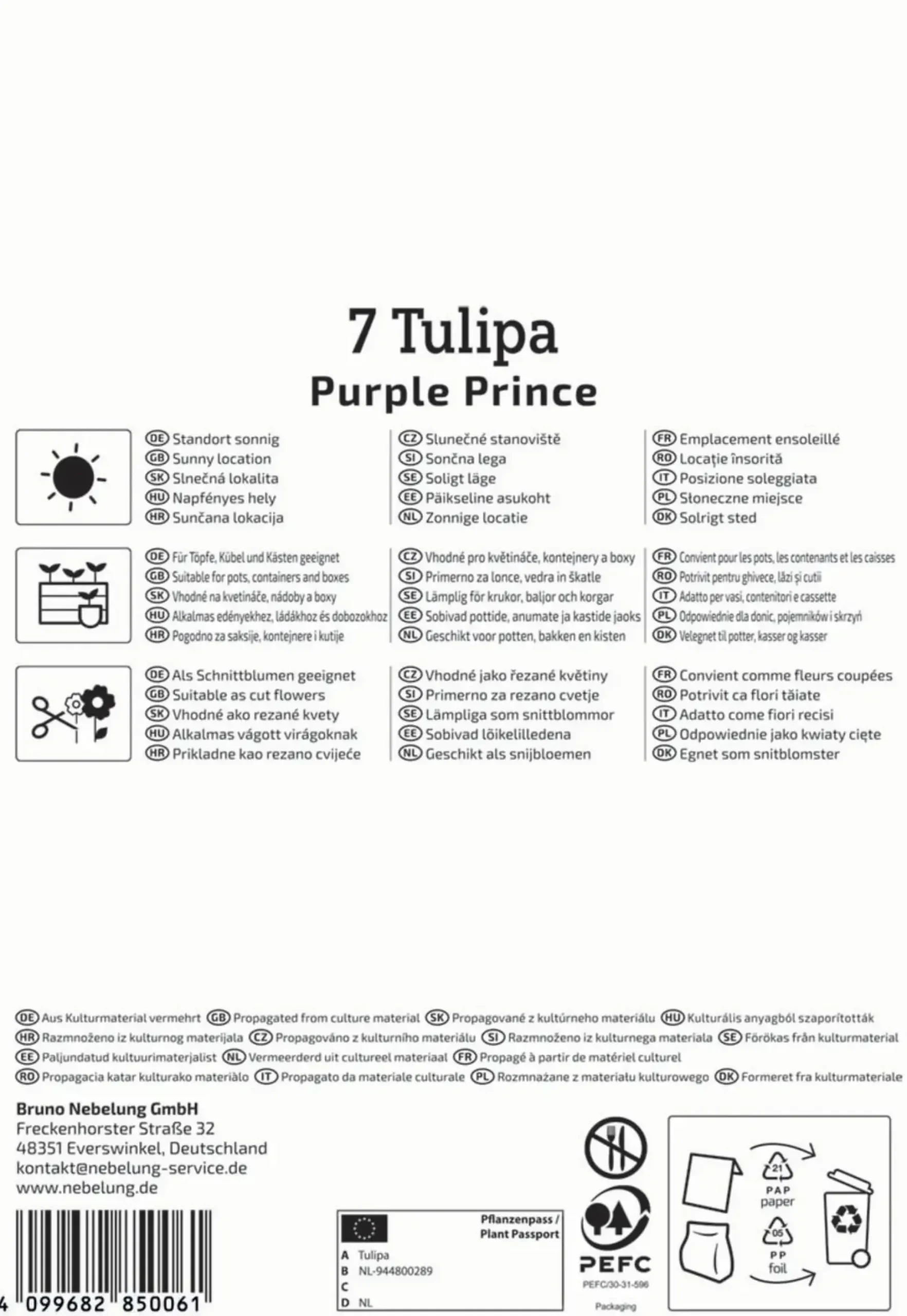 Kiepenkerl Herbstblumenzwiebel Einfache Frühe Tulpe Purple Prince 7 Pflanzen