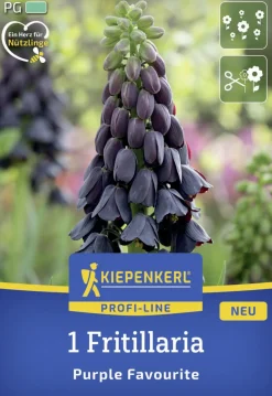 Kiepenkerl Herbstblumenzwiebel Profi-Line Persische Kaiserkrone Purple Favourite 1 Stück