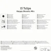 Kiepenkerl Herbstblumenzwiebelmischung Mega-Pack Tulpen Happy Bloom Mix 15 Stück