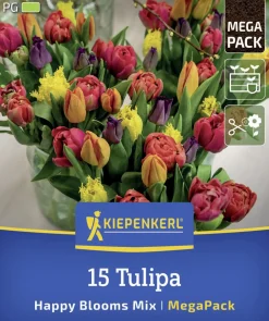Kiepenkerl Herbstblumenzwiebelmischung Mega-Pack Tulpen Happy Bloom Mix 15 Stück