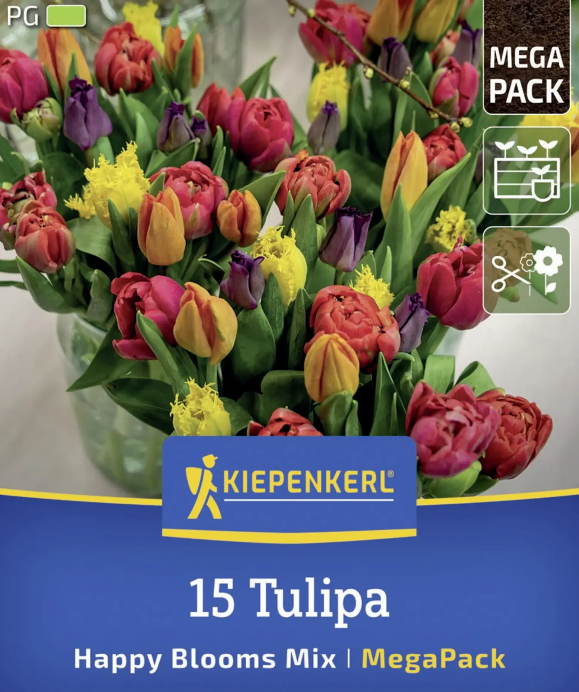 Kiepenkerl Herbstblumenzwiebelmischung Mega-Pack Tulpen Happy Bloom Mix 15 Stück