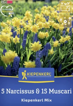 Kiepenkerl Herbstblumenzwiebelmischung Kiepenkerl Mix 20 Stück