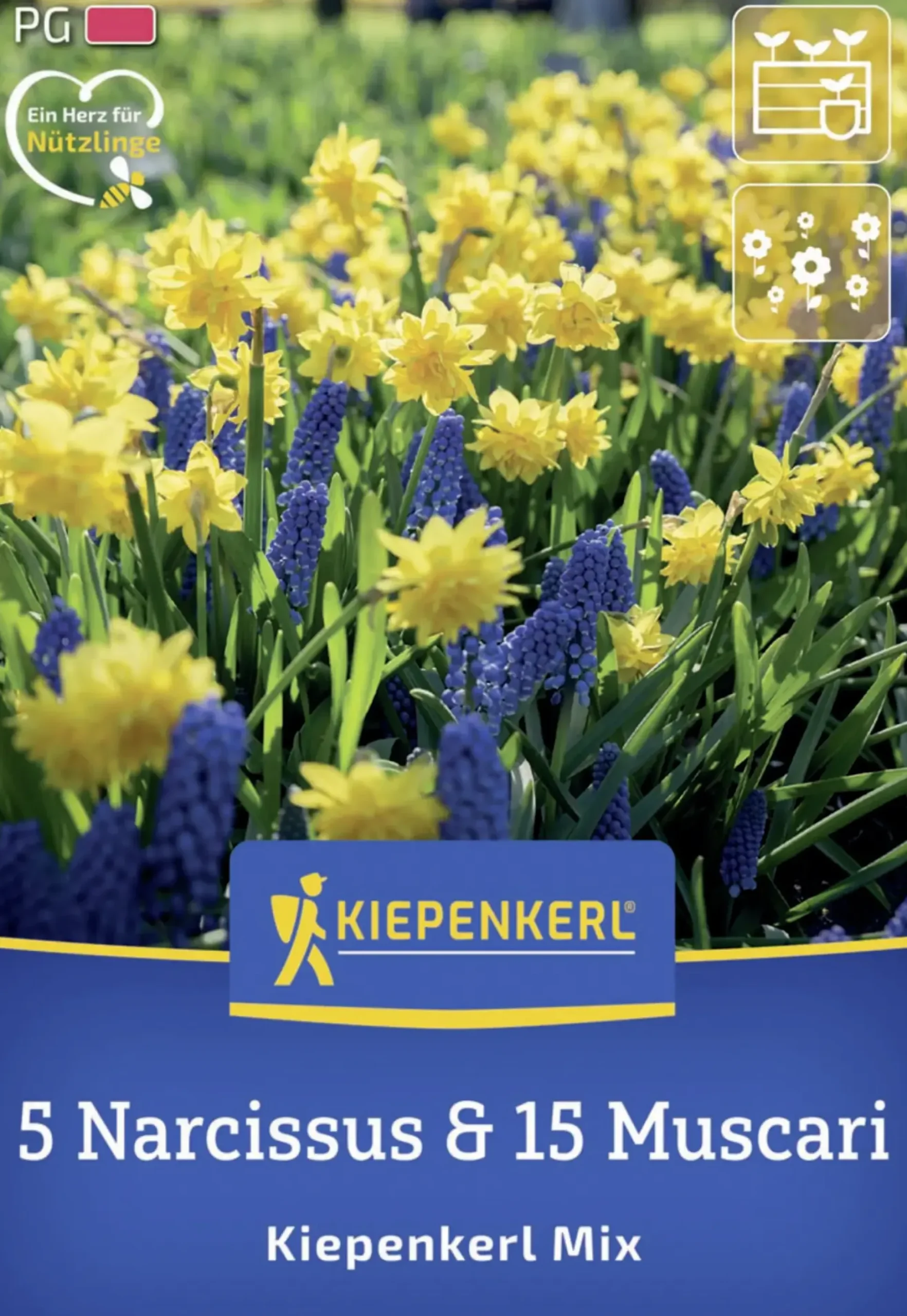Kiepenkerl Herbstblumenzwiebelmischung Kiepenkerl Mix 20 Stück