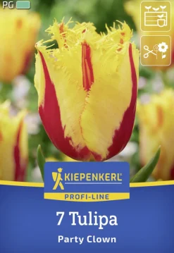Kiepenkerl Herbstblumenzwiebel Profi-Line Tulpe Party Clown 7 Stück