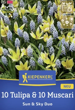 Kiepenkerl Herbstblumenzwiebelmischung Sun and Sky Duo 20 Stück