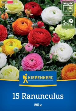 Kiepenkerl Herbstblumenzwiebel Ranunkel Mischung 15 Pflanzen