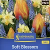 Kiepenkerl Herbstblumenzwiebelmischung Mega-Pack Soft Blossom 25 Stück