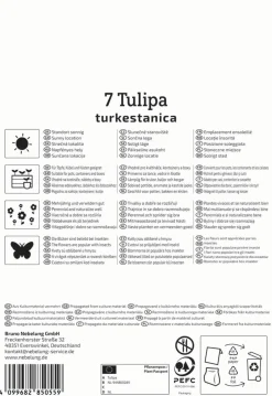 Kiepenkerl Herbstblumenzwiebel Wildtulpe Tulipa turkestanica 7 Stück