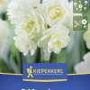 Kiepenkerl Herbstblumenzwiebel Poetaz-Narzisse Cheerfulness 5 Stück