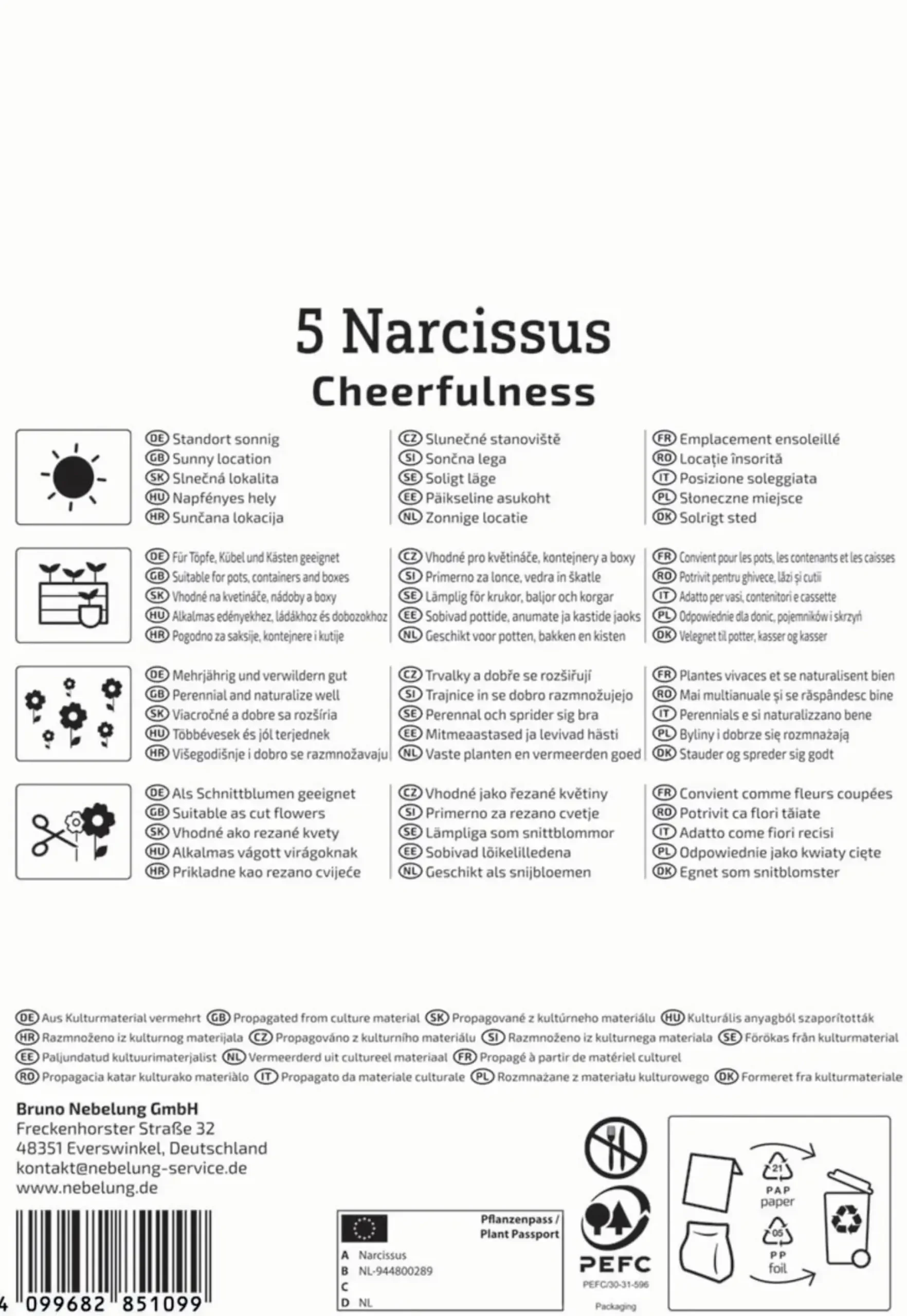 Kiepenkerl Herbstblumenzwiebel Poetaz-Narzisse Cheerfulness 5 Stück