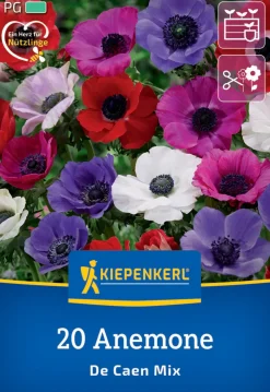 Kiepenkerl Herbstblumenzwiebel Kronen-Anemonen De Caen Mischung 20 Pflanzen