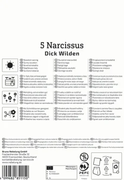 Kiepenkerl Herbstblumenzwiebel Narzisse Dick Wilden 5 Stück