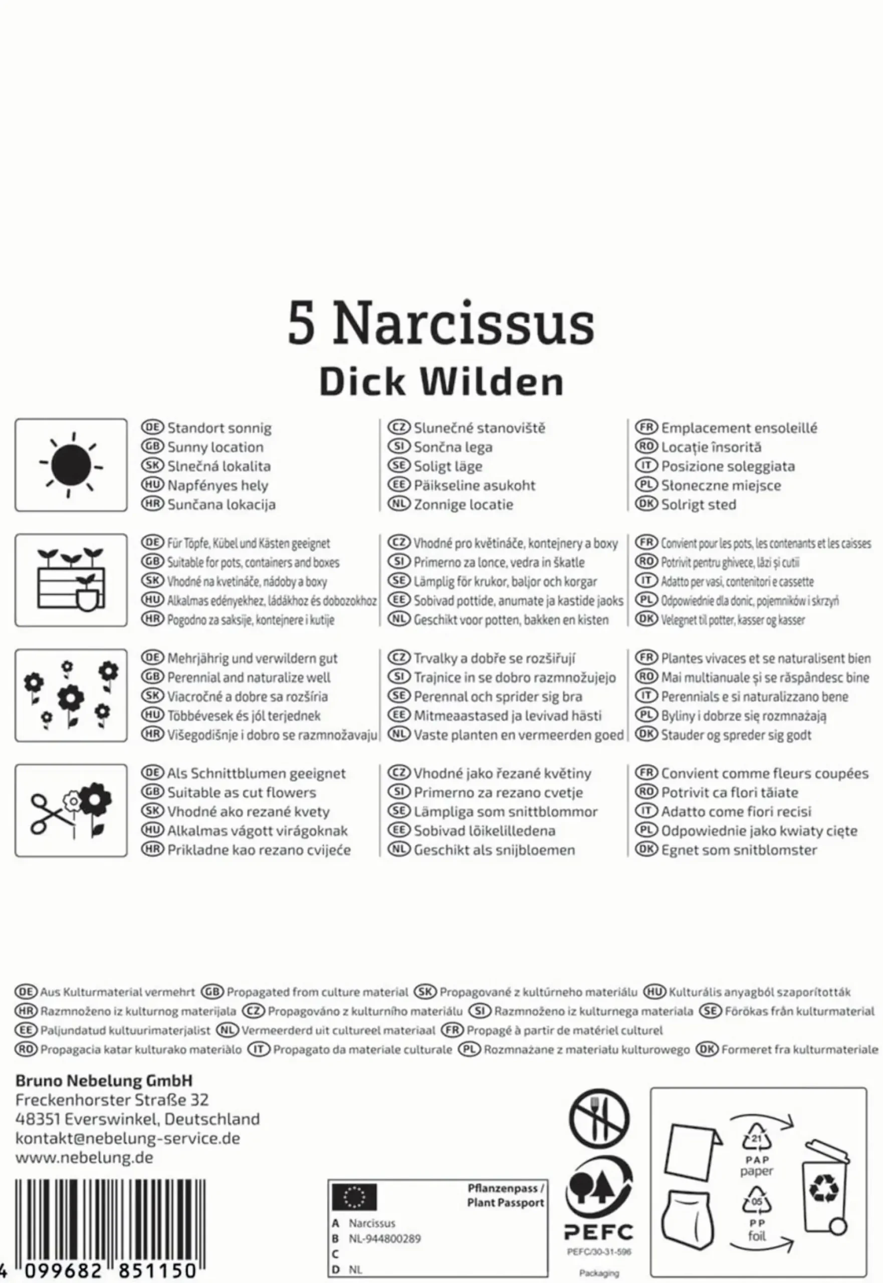 Kiepenkerl Herbstblumenzwiebel Narzisse Dick Wilden 5 Stück