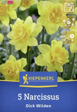 Kiepenkerl Herbstblumenzwiebel Narzisse Dick Wilden 5 Stück