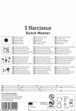 Kiepenkerl Herbstblumenzwiebel Trompeten-Narzisse Dutch Master 5 Stück