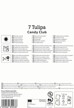 Kiepenkerl Herbstblumenzwiebel Mehrblütige Tulpe Candy Club 7 Stück