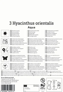 Kiepenkerl Herbstblumenzwiebel Hyazinthe Aqua 3 Stück