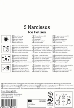 Kiepenkerl Herbstblumenzwiebel Großkronige Narzisse Ice Follies 5 Stück