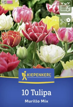 Kiepenkerl Herbstblumenzwiebel Tulpe Murillo Mix 10 Stück