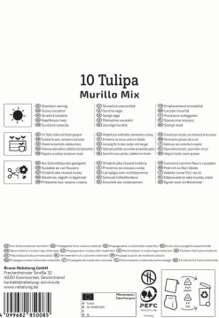 Kiepenkerl Herbstblumenzwiebel Tulpe Murillo Mix 10 Stück