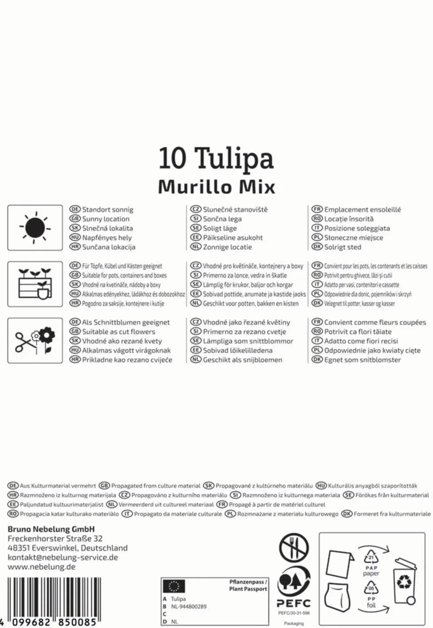 Kiepenkerl Herbstblumenzwiebel Tulpe Murillo Mix 10 Stück