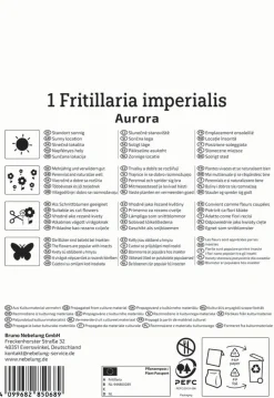 Kiepenkerl Herbstblumenzwiebel Kaiserkrone Aurora 1 Pflanze