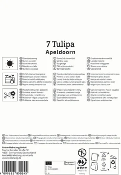 Kiepenkerl Herbstblumenzwiebel Darwin-Hybrid-Tulpe Apeldoorn 7 Pflanzen