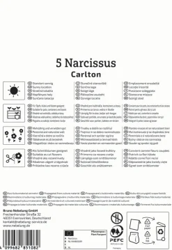 Kiepenkerl Herbstblumenzwiebel Narzisse Carlton 5 Pflanzen