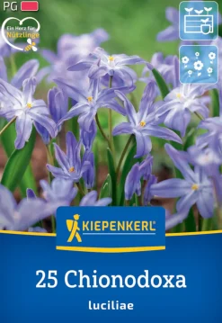 Kiepenkerl Herbstblumenzwiebel Chionodoxa Schneeglanz 25 Pflanzen