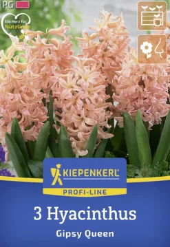 Kiepenkerl Herbstblumenzwiebel Profi-Line Hyazinthe Gipsy Queen 3 Stück