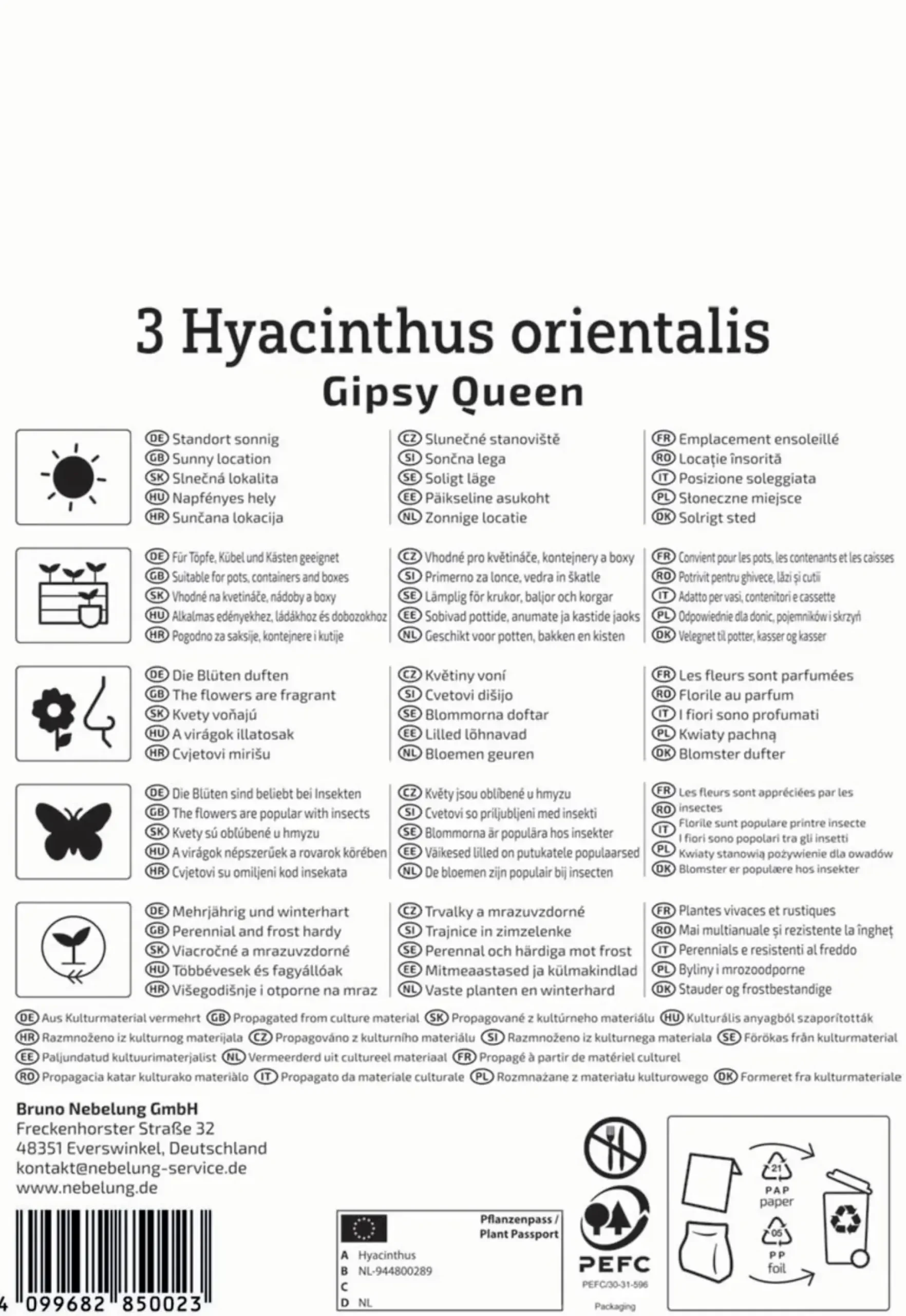Kiepenkerl Herbstblumenzwiebel Profi-Line Hyazinthe Gipsy Queen 3 Stück