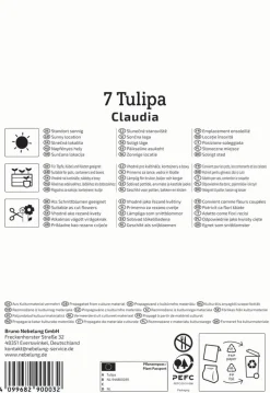 Kiepenkerl Herbstblumenzwiebel Lilienblütige Tulpe Claudia 7 Stück