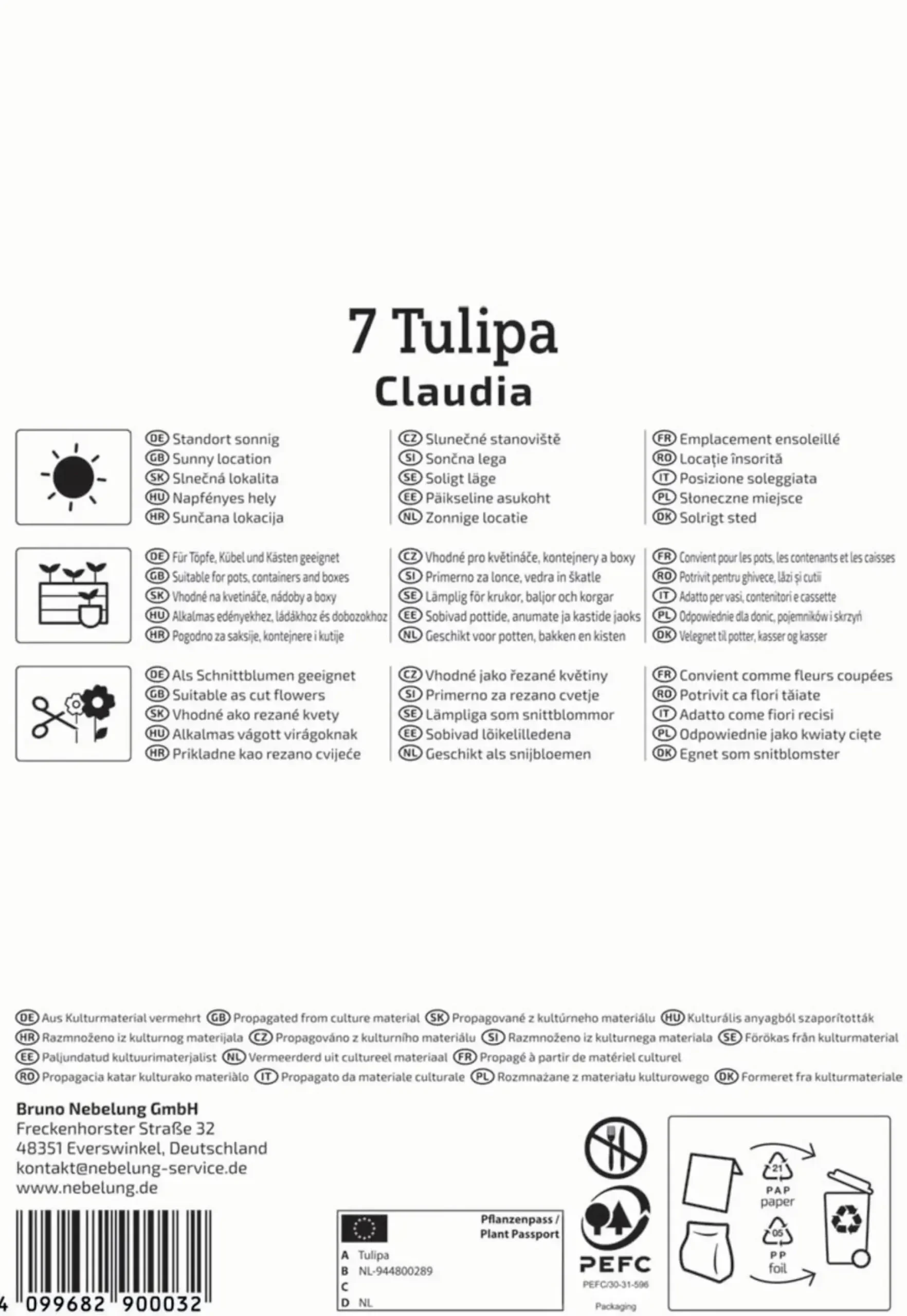 Kiepenkerl Herbstblumenzwiebel Lilienblütige Tulpe Claudia 7 Stück