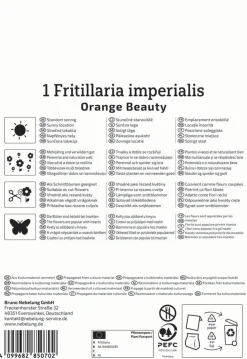 Kiepenkerl Herbstblumenzwiebel Kaiserkrone Orange Beauty 1 Pflanze