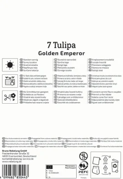 Kiepenkerl Herbstblumenzwiebel Fosteriana-Tulpe Golden Emperor 7 Pflanzen