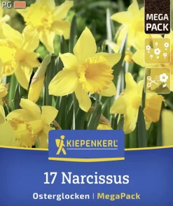 Kiepenkerl Herbstblumenzwiebel Mega-Pack Osterglocken 17 Stück