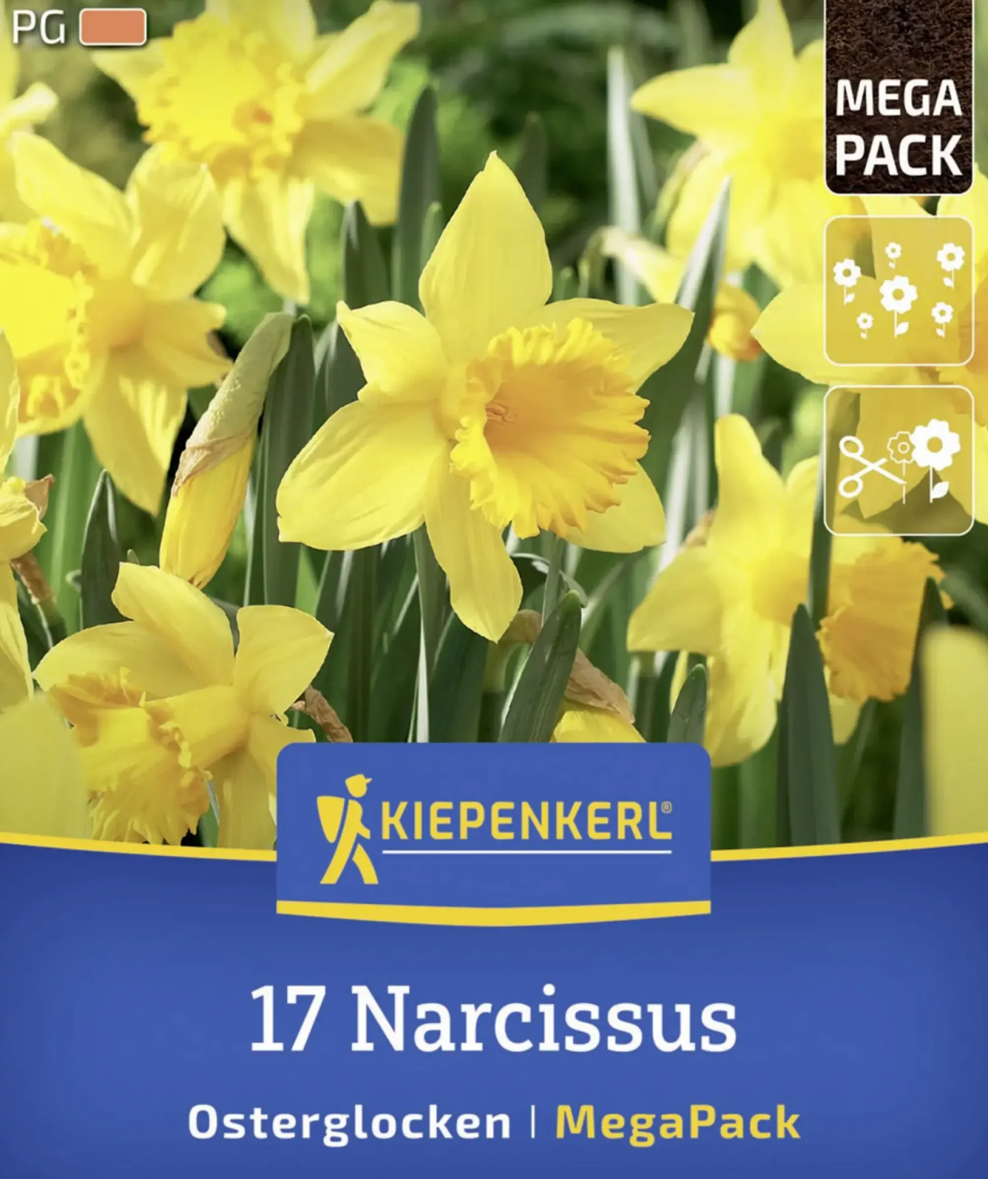 Kiepenkerl Herbstblumenzwiebel Mega-Pack Osterglocken 17 Stück