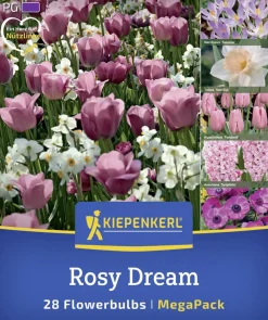 Kiepenkerl Herbstblumenzwiebelmischung Mega-Pack Rosy Dream 28 Stück