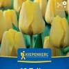 Kiepenkerl Herbstblumenzwiebel Darwin-Hybrid-Tulpe Golden Apeldoorn 10 Pflanzen