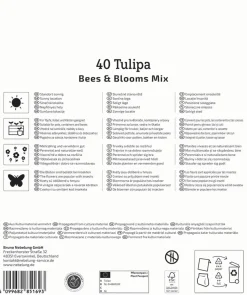 Kiepenkerl Herbstblumenzwiebelmischung Mega-Pack Bees & Blooms 40 Stück