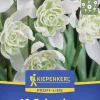Kiepenkerl Herbstblumenzwiebel Profi-Line Schneeglöckchen Flore Pleno 10 Stück
