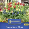 Kiepenkerl Herbstblumenzwiebelmischung Mega-Pack Sunshine Bliss 35 Stück