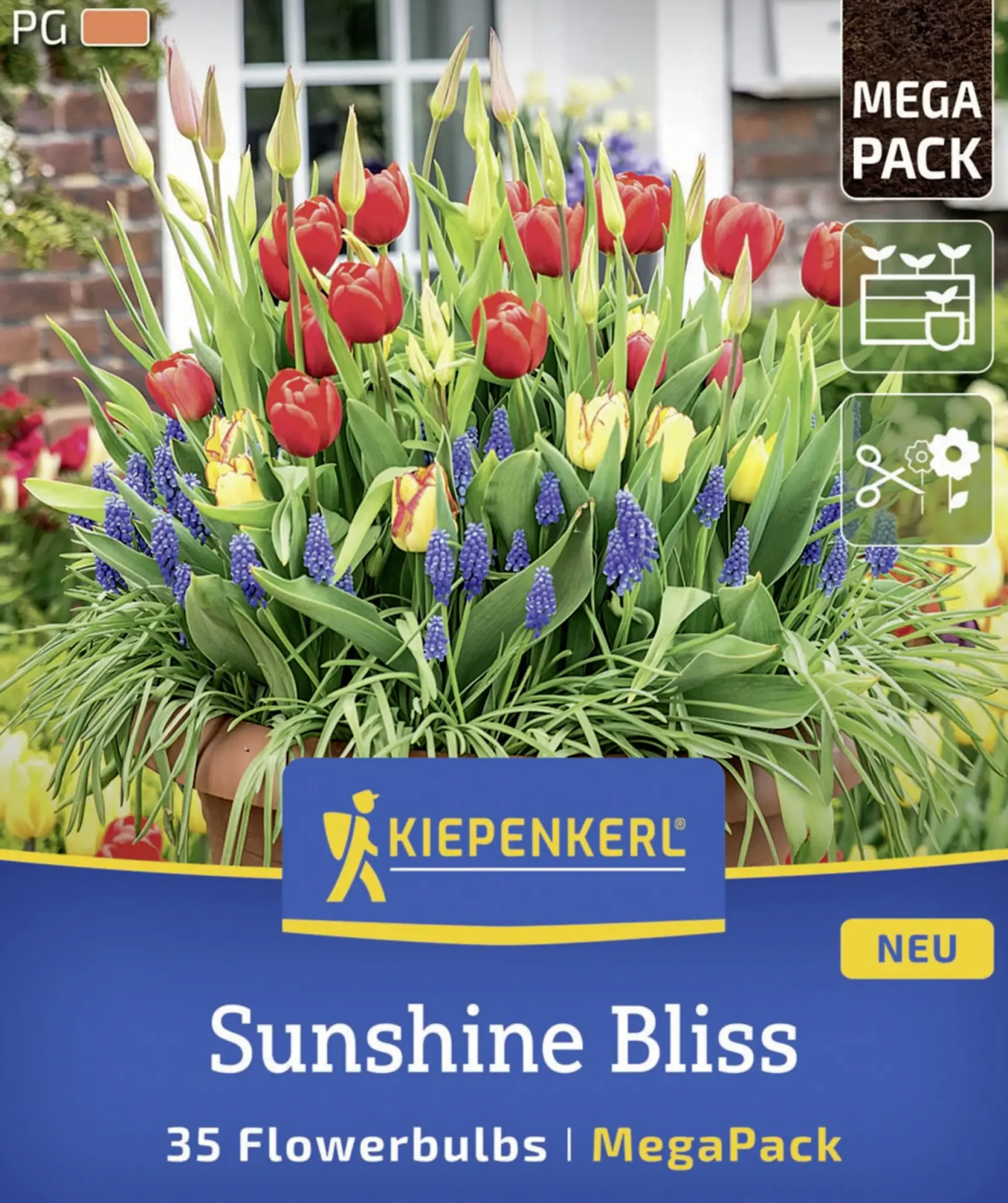 Kiepenkerl Herbstblumenzwiebelmischung Mega-Pack Sunshine Bliss 35 Stück