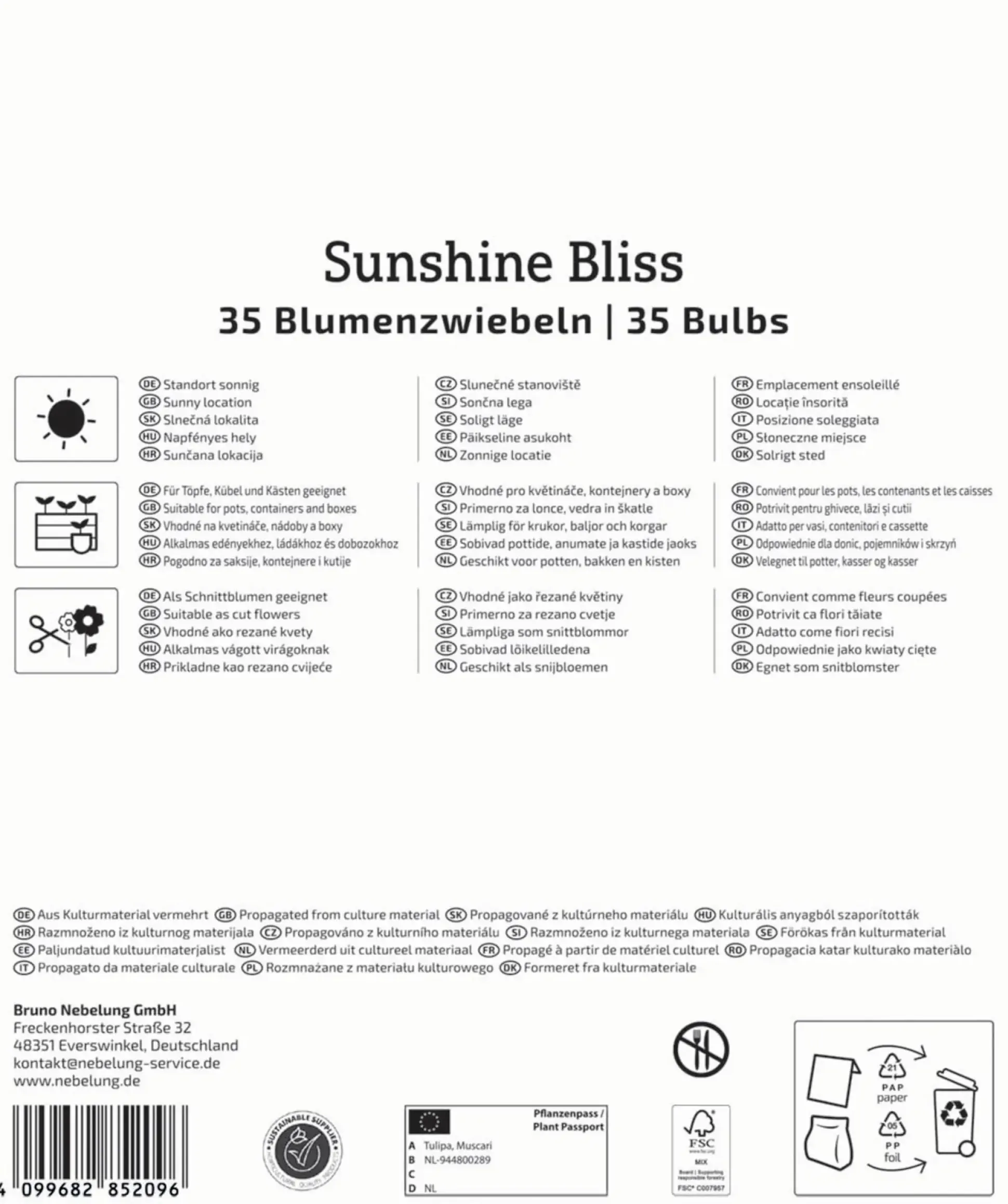 Kiepenkerl Herbstblumenzwiebelmischung Mega-Pack Sunshine Bliss 35 Stück