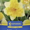 Kiepenkerl Herbstblumenzwiebel Profi-Line Schmetterlings-Narzisse Blazing Starlet 5 Stück