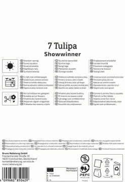 Kiepenkerl Herbstblumenzwiebel Kaufmanniana-Tulpe Showwinner 7 Pflanzen