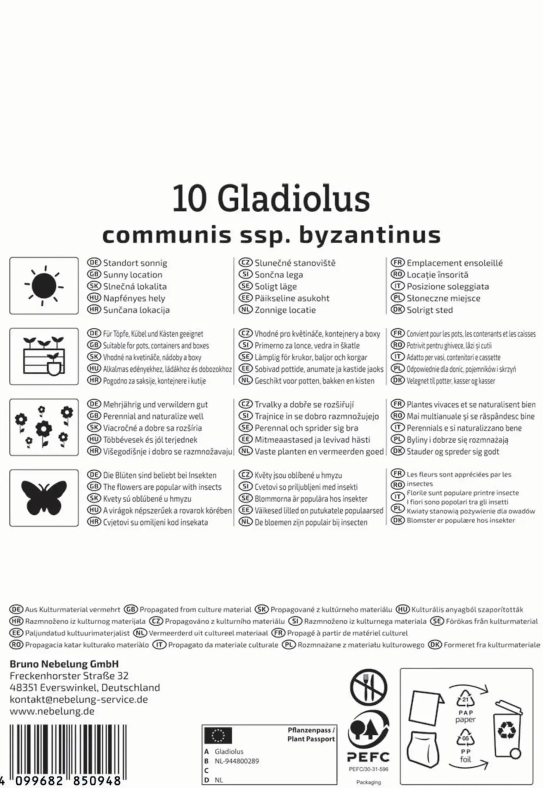 Kiepenkerl Herbstblumenzwiebel Byzantinische Wildgladiole 10 Stück